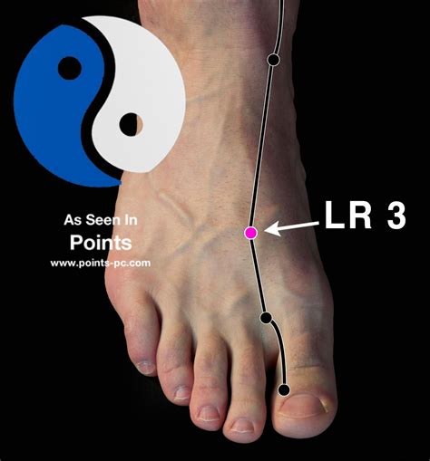 lv point|acupuncture point liver 3.